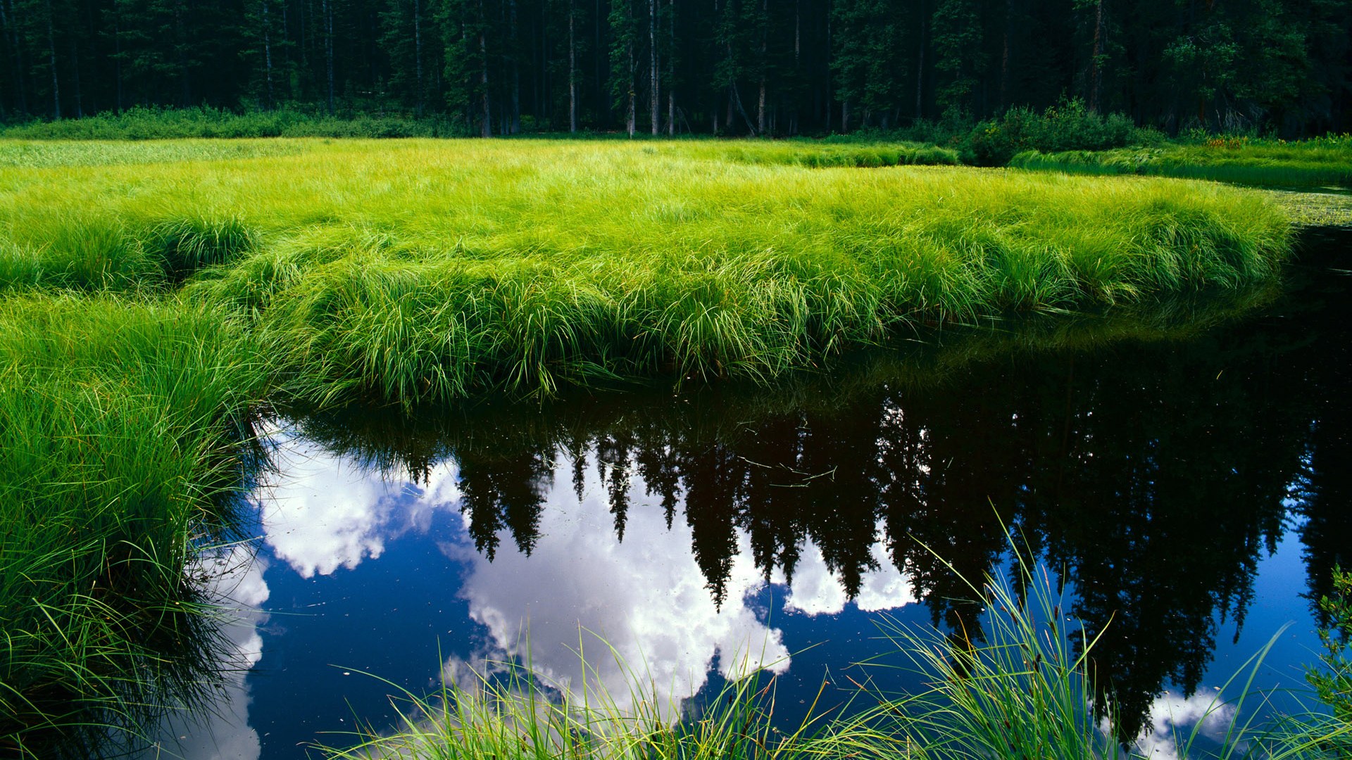 战术变化揭秘：高手们的应变之道，战术应变汉化破解版